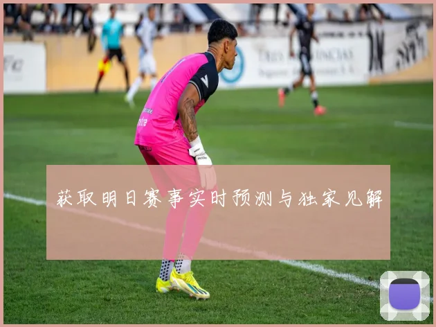 获取明日赛事实时预测与独家见解