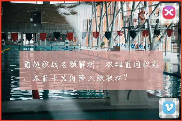 葡超欧战名额解析：双雄直通欧冠，本菲卡为何降入欧联杯？
